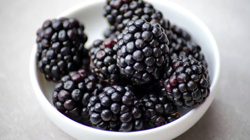 Moras. Foto Unsplash.