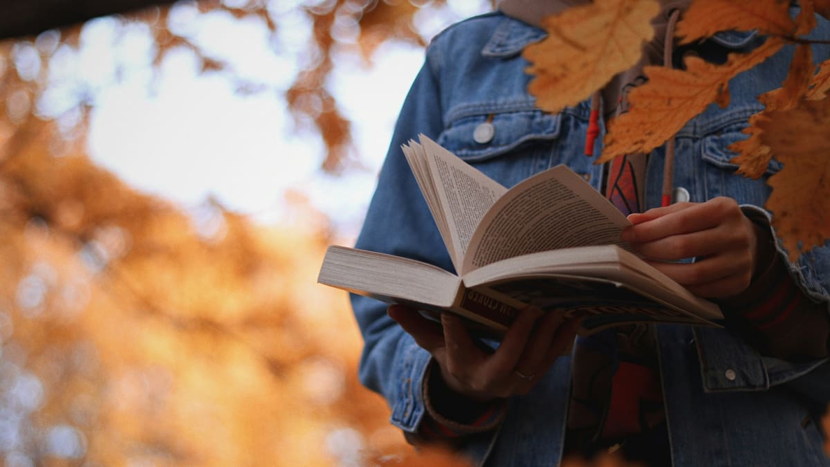 Libros; librería; lectura.