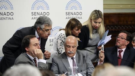 Aborto, debate en el Senado - NA -