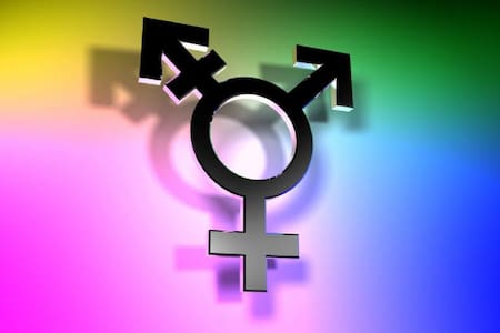 Bandera Trans, transexualidad