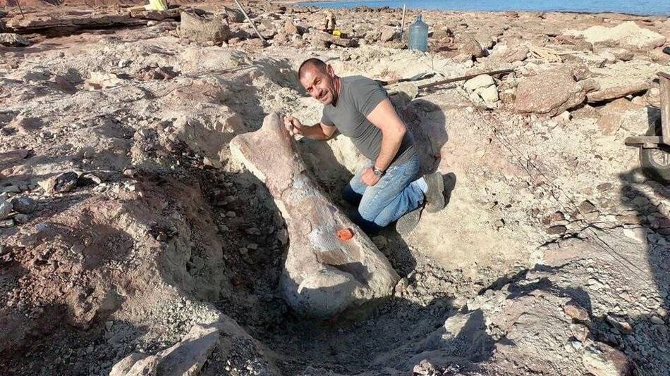 Futalognkosaurus hembra de hace 90 millones de años, Neuquén