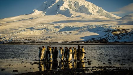 Australia amplía un parque marino. Fuente: EFE