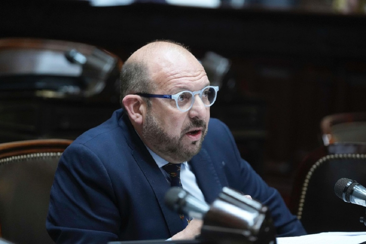 El diputado nacional por San Luis, Carlos D'Alessandro. Foto: Instagram @carlos.gonzalezdalessandro