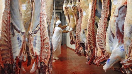 Carne, frigorífico, carne argentina, NA