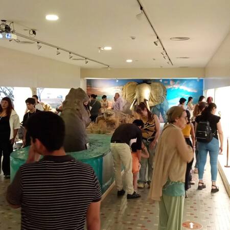 Argentina Esconde Tesoros: Museos Que Debes Visitar Antes De Morir