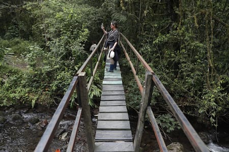 Eje Cafetero , Colombia. Foto: EFE