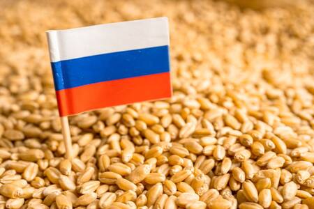 Acuerdo de cereales, Rusia y Ucrania. Foto: EFE