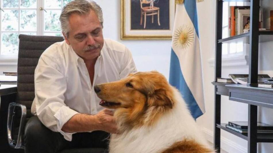 Dylan, el perro de Alberto