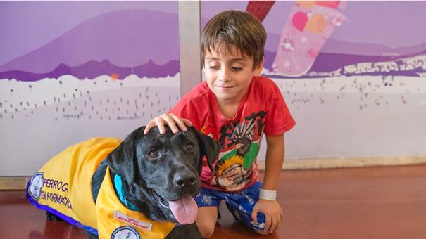 El Hospital Garrahan implementó la terapia asistida con perros como parte de los tratamientos médicos
