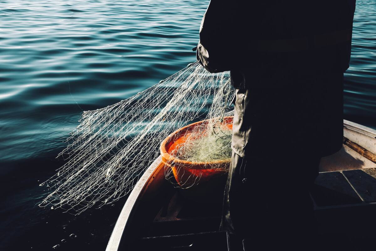 Pesca de salmón. Foto: Unsplash