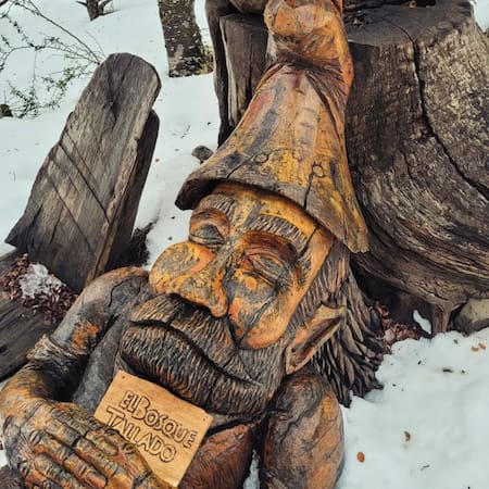 Bosque Tallado en el Piltriquitrón. Foto Instagram @bosquetallado