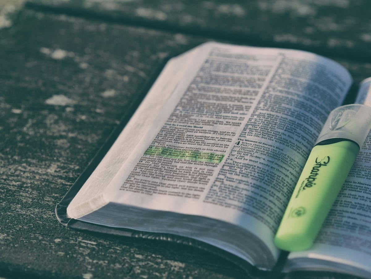 Estudiar; leer. Foto: Unsplash