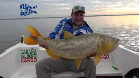 Video viral, pesca de dorado gigante