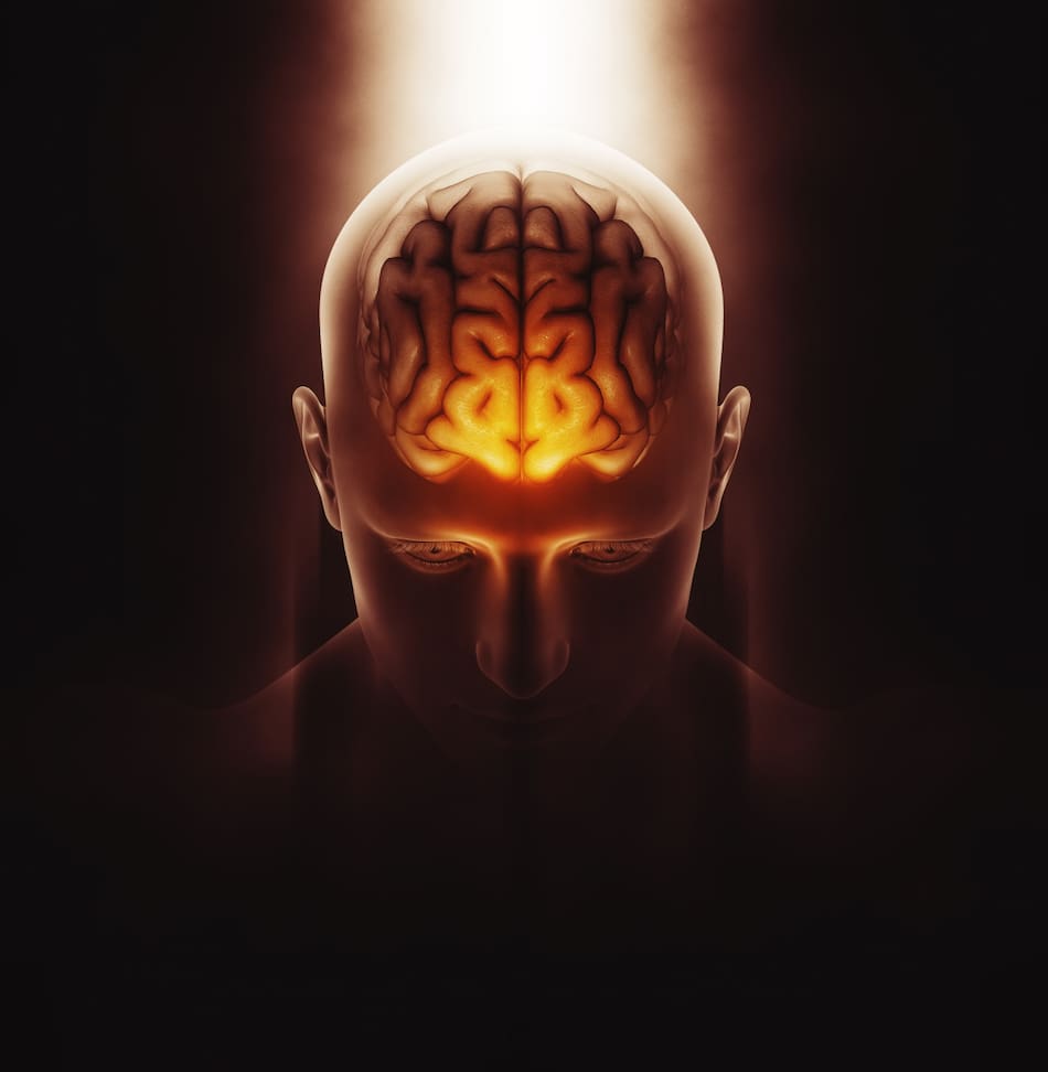 Cerebro. Foto: Freepik.