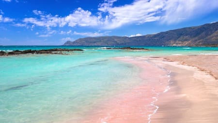 ¿Por qué las playas se vuelven de color rosa?. Foto X.
