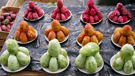 El fruto de tuna. Foto: Wikipedia.