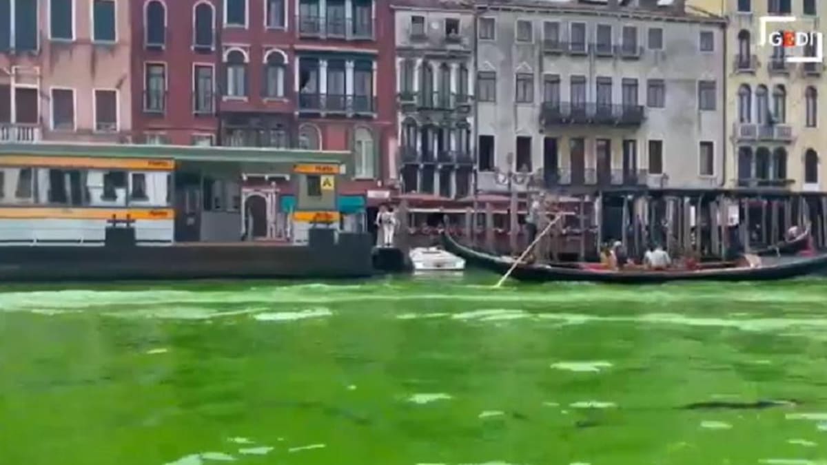 Misterio en el Gran Canal de Venecia: el agua se tiñó de verde flúor, se desconocen los motivos