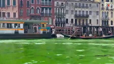 Gran Canal de Venecia teñido de verde. Foto: gentileza La Reppublica.
