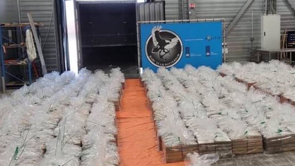 Con un valor de 600 millones de euros, la droga estaba escondida en un contenedor que transportaba plátanos que había llegado a Róterdam a través de Panamá. Foto @AlertaMundial2.
