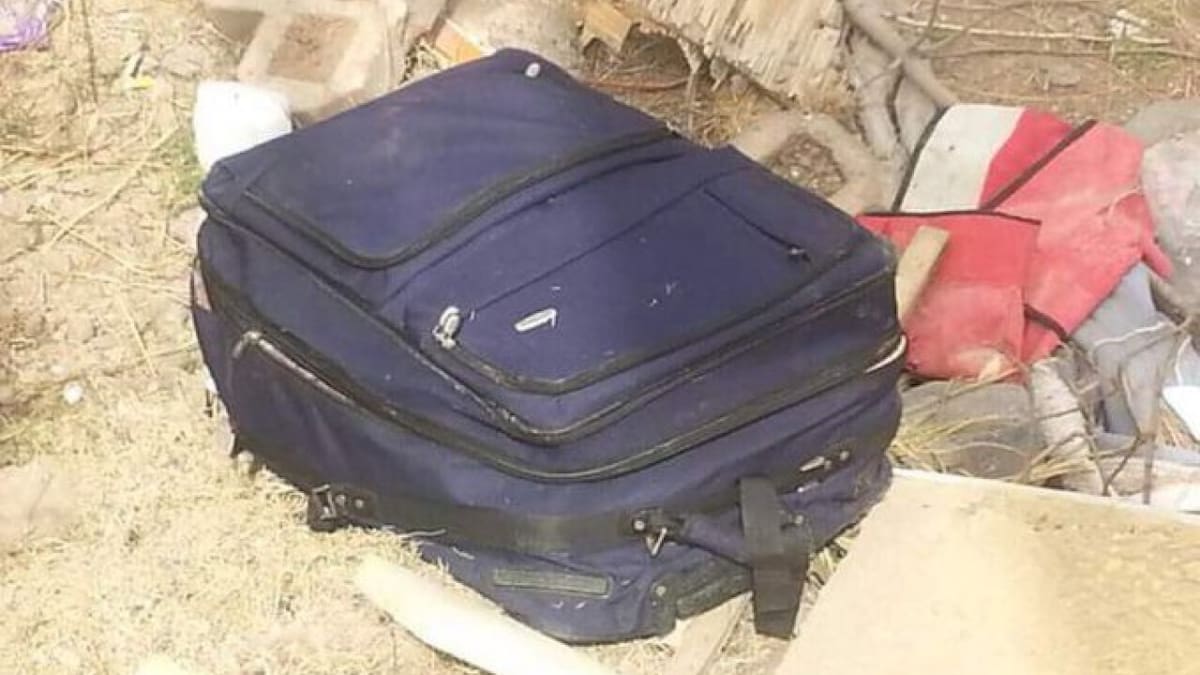 La valija donde se encontraba el padre descuartizado. Foto: NA.