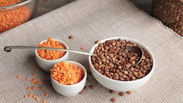 Lentejas: cuántas veces por semana hay que consumirlas y qué beneficios aporta, según los expertos de Harvard