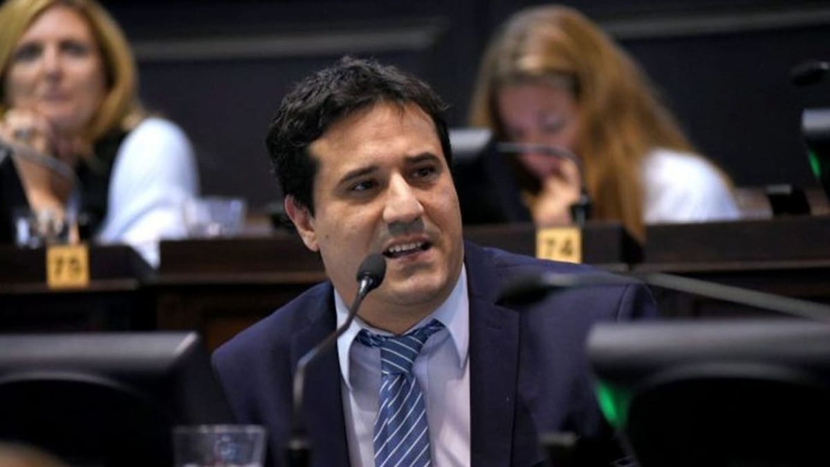 El senador de la UCR cuestionó uno de los capítulos del Presupuesto 2026.