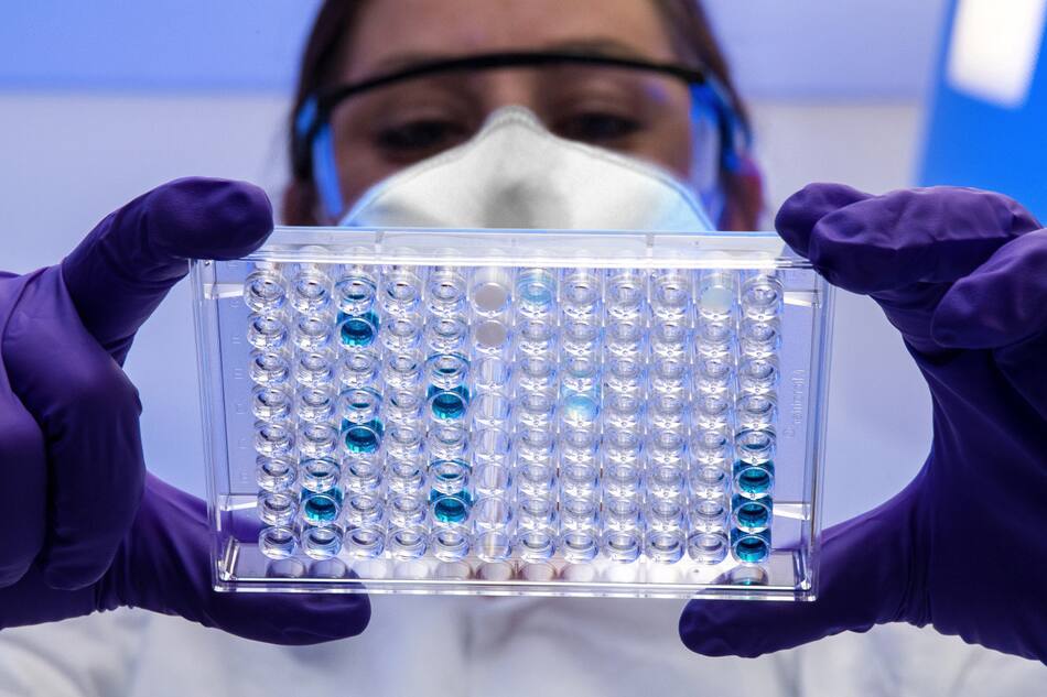 Ciencia, científicos, medicina, ceélulas madre. Unsplash