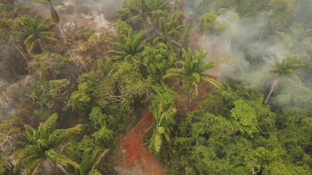 Incendios forestales en Bolivia. Foto: EFE