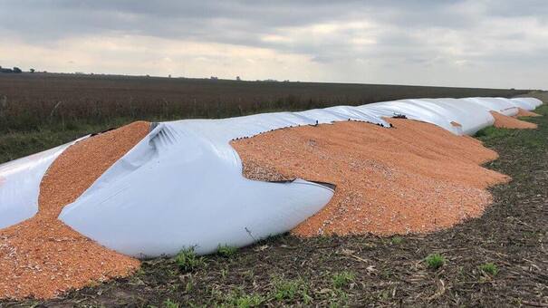 Destruyeron más de 50 silobolsas de una cooperativa de la provincia de Buenos Aires