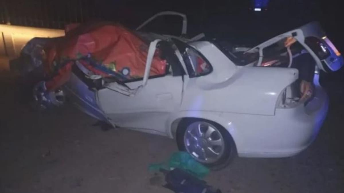 Auto aplastado por un árbol en Mendoza. Foto: NA