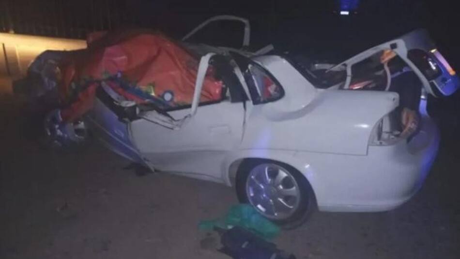 Auto aplastado por un árbol en Mendoza. Foto: NA