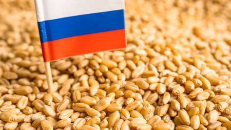 Acuerdo de cereales, Rusia y Ucrania. Foto: EFE