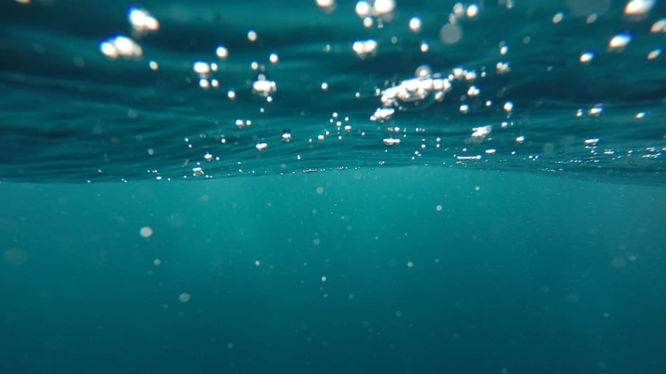 El nuevo color de las aguas del océano no es buena señal, según los expertos. Foto: Unsplash