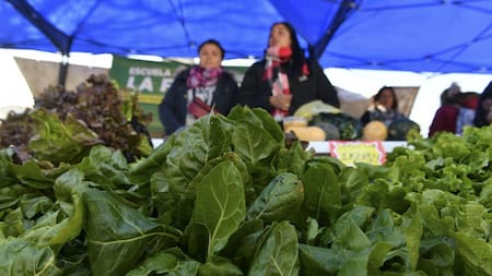 “Verdurazo” de Organizaciones Sociales en Plaza de Mayo