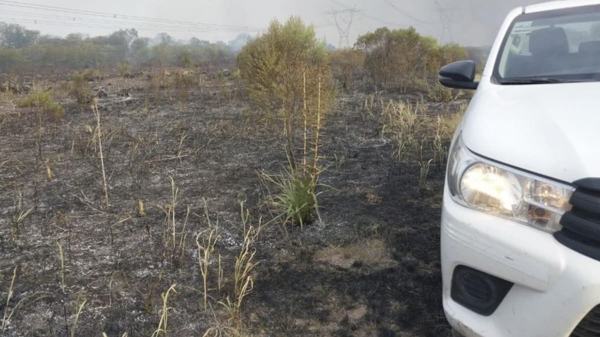 gigantesco apagón que dejó sin energía a media Argentina fue provocado por un incendio