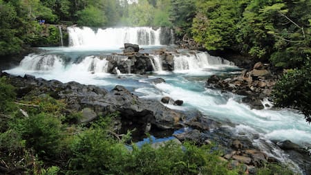 La Reserva Biológica Huilo Huilo.