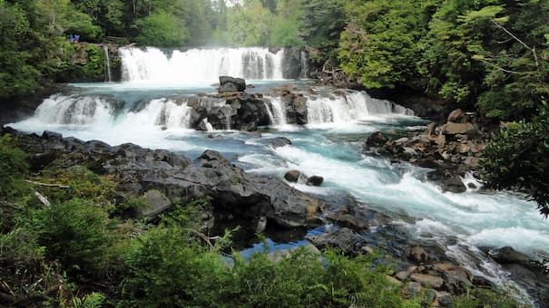 Lagos glaciares, ríos hondos y cascadas en plena selva patagónica: el bosque que une a Chile y Argentina en su misión de rescatar al huemul