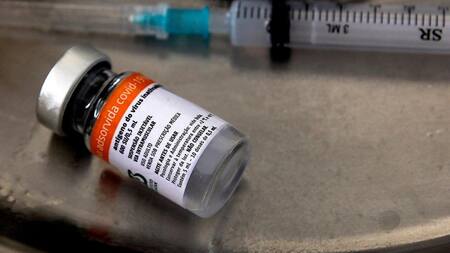 Sinovac, coronavirus, Reuters