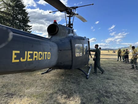 Las Fuerzas Armadas argentinas. Foto: NA.