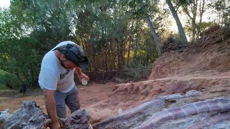 Resto de sinosaurio Portugal Foto Reuters