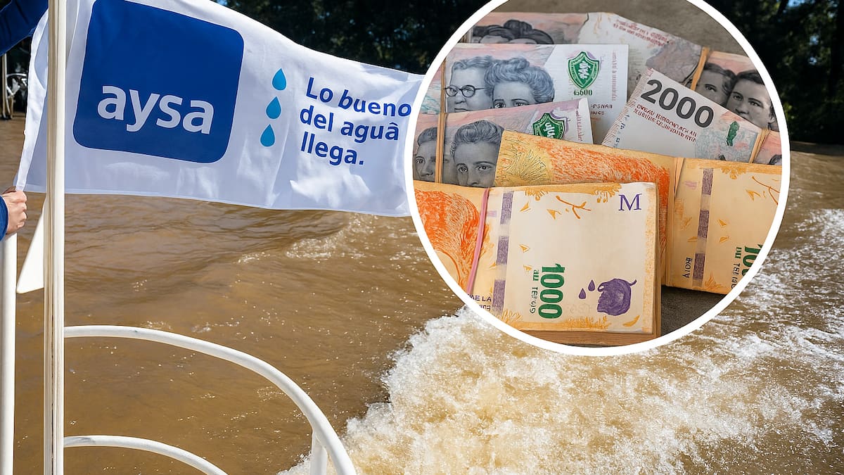 Privatización de AySA