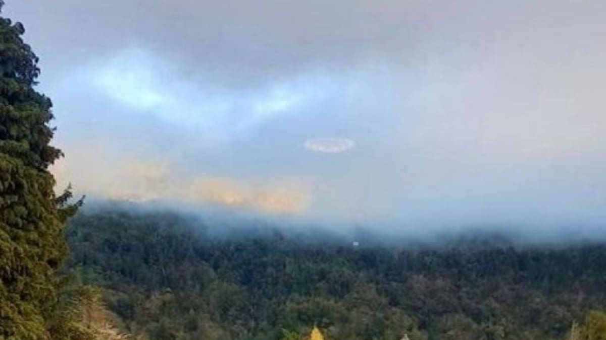 Foto de supuesto ovni capturado en San Martín de los Andes. Foto: NA.