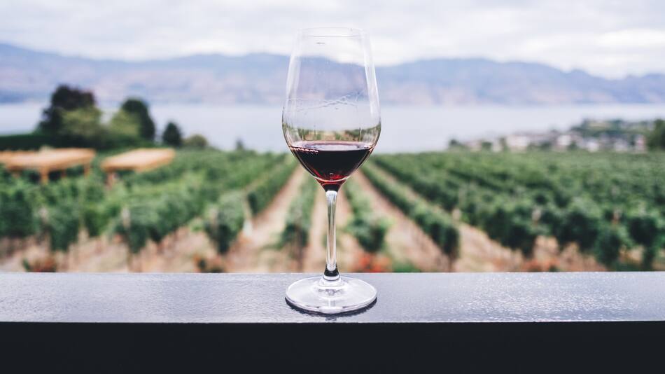 Vino, bebida alcohólica, vid. Foto: Unsplash