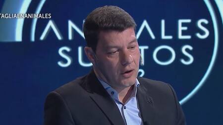 Sebastián Battaglia, entrevista. Foto: captura video.