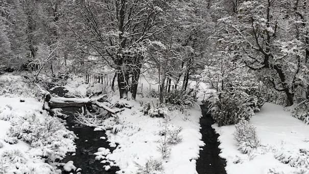 El sorprendente arroyo que une dos océanos, pasa por los bosques patagónicos y cruza la mítica Ruta 40
