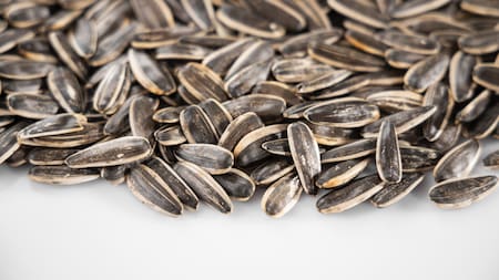 Semillas de girasol. Foto: Unsplash