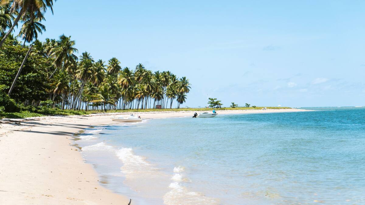 Playa de Brasil. Foto: Unsplash.