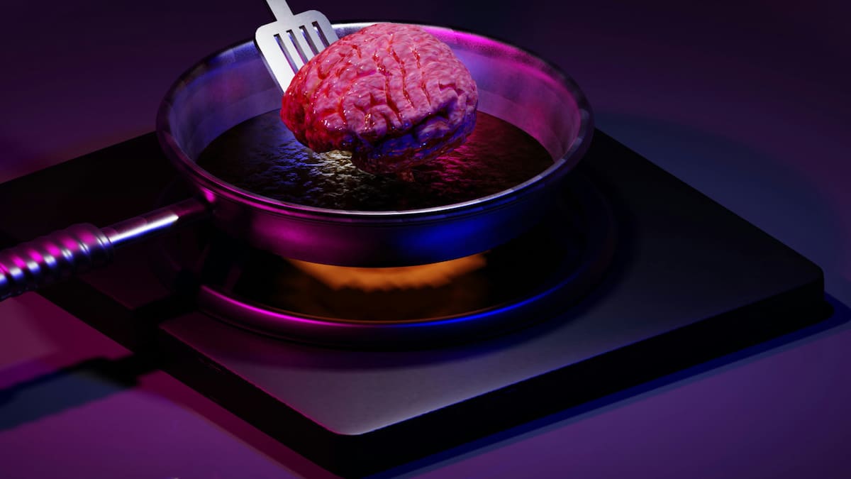 Cerebro. Foto: Unsplash