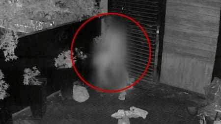 Sexo en un bar. Foto: NA / Cámara de seguridad.