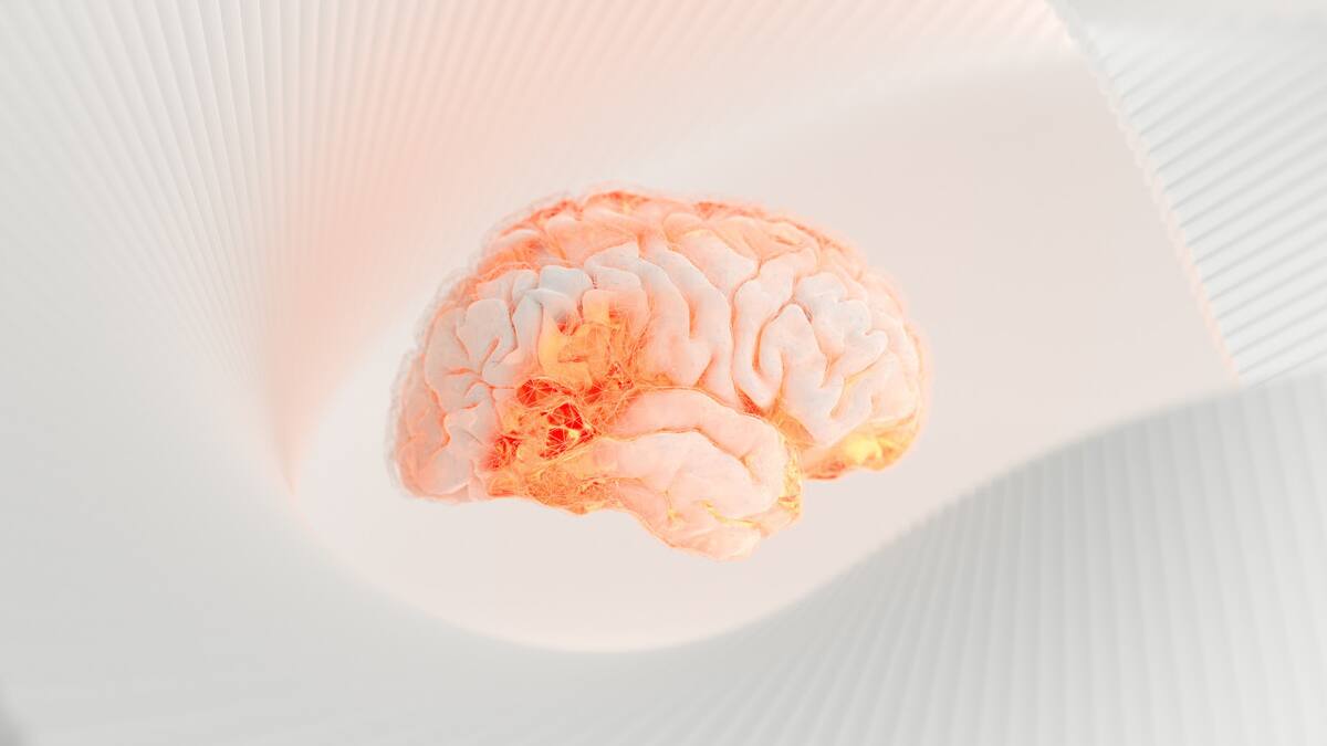 Día Mundial del Accidente Cerebrovascular. Foto: Unsplash